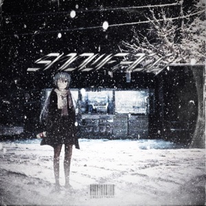 Snowfall