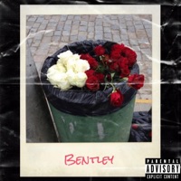 Bentley - Single - LVL9