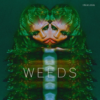 Weeds - Single