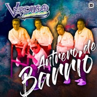 La tengo que Olvidar