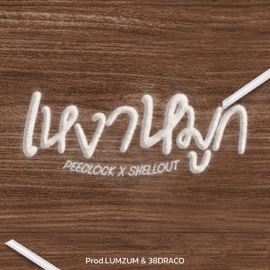 เหงาหมูก (feat. SHELLOUT) PEE CLOCK