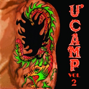 Senyummu Album Art
