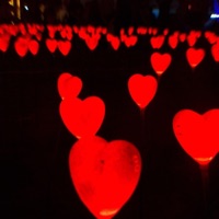 Confess - Single - Jake Egbert