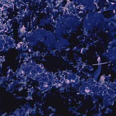 KOPYASI DÜNÜN BUGÜN (feat. Altan) - Single