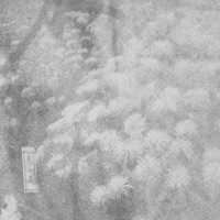 An Opposite Fall - The Humble Bee