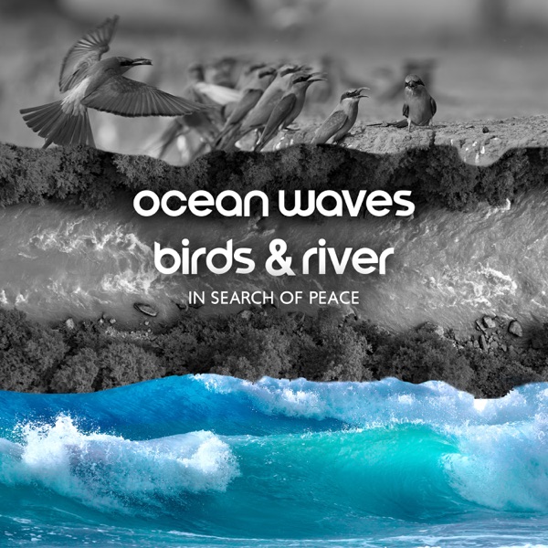 Ocean Waves, Birds & River: In Search of Peace (Nature Relaxing Sounds)