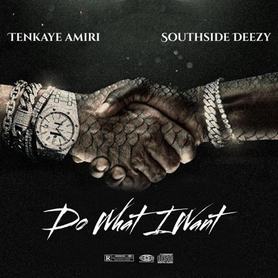 Do What I Want (feat. Southside Deezy) - Single