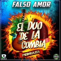 Falso Amor - Single - EL DUO DE LA CUMBIA PEDRAZA