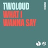 What I Wanna Say - Single