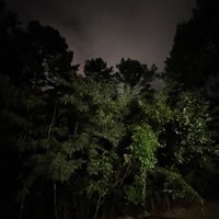 Bipolar - Single - Rich Sole 4200