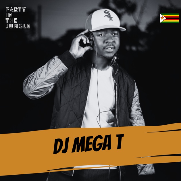 Dancehall Riddim Mix (DJ Mix) - Album by Deejay Massive