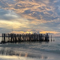 FEELINGS - Single - Ayman, TommyBravo & Siggy Jackson