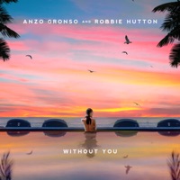 Without You - Single - Anzo Gronso & Robbie Hutton