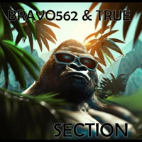 Section (feat. Bearonthebeat) - Single - Bravo562 & Trulytrue
