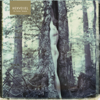 No Holier Temple - Hexvessel new Single