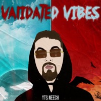 Validated Vibes - YTS Neech