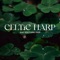 Celtic Irish Harp - Lynn Samadhi lyrics