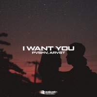 I Want You - Single - PVSHV & ARVST