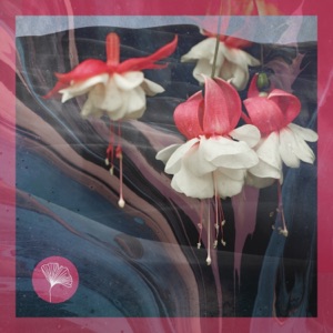 Malawi / Love is You - Single