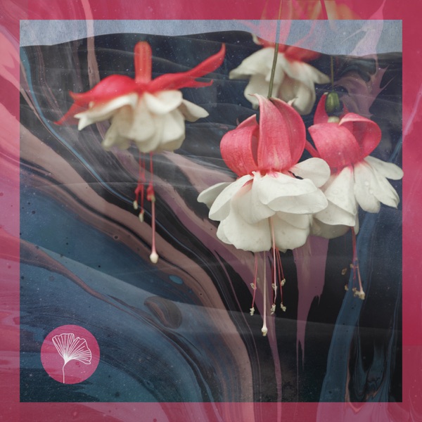 Malawi / Love is You - Single
