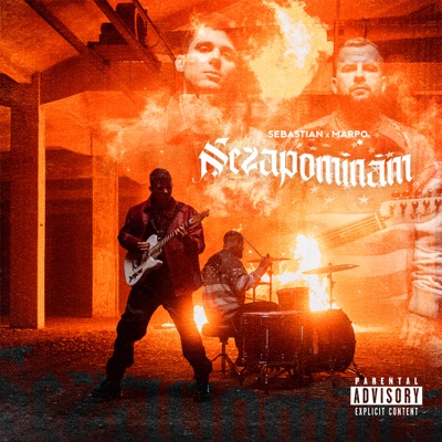 Nezapomínám - Single