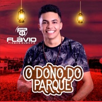 O Dono do Parque - Single - Flávio Pizada Quente
