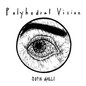 Polyhedral Vision