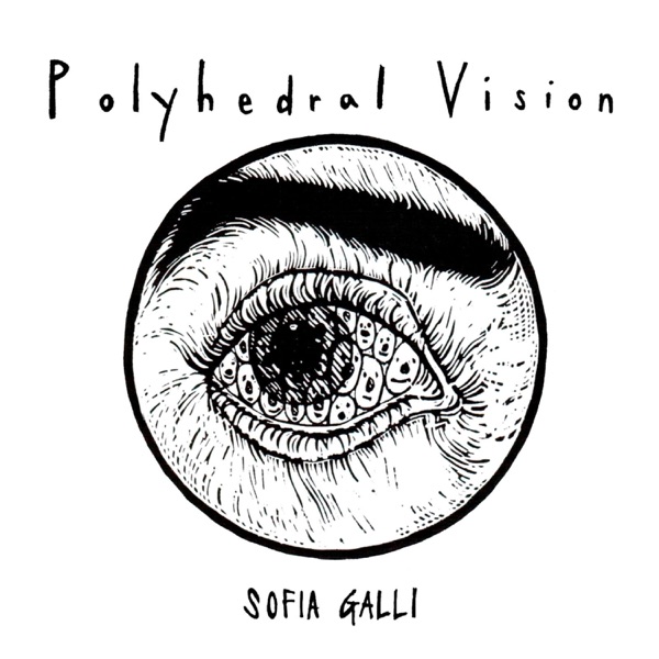 Polyhedral Vision
