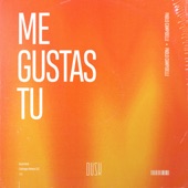 Me Gustas Tu artwork