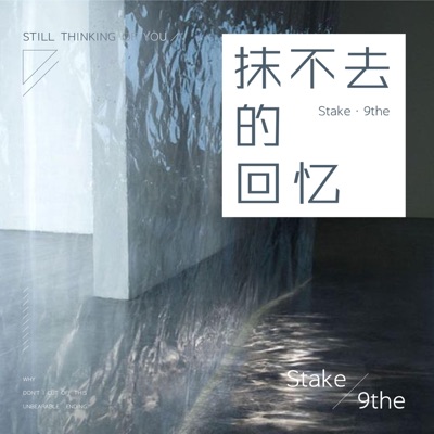 抹不去的回忆 - Single