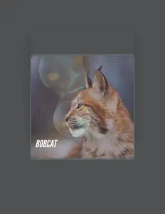 Ouve Bobcat, vê vídeos de música, lê a biografia, vê as datas da digressão e muito mais!