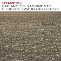 Starfish - Single - Fabiano do Nascimento & Itiberê Zwarg