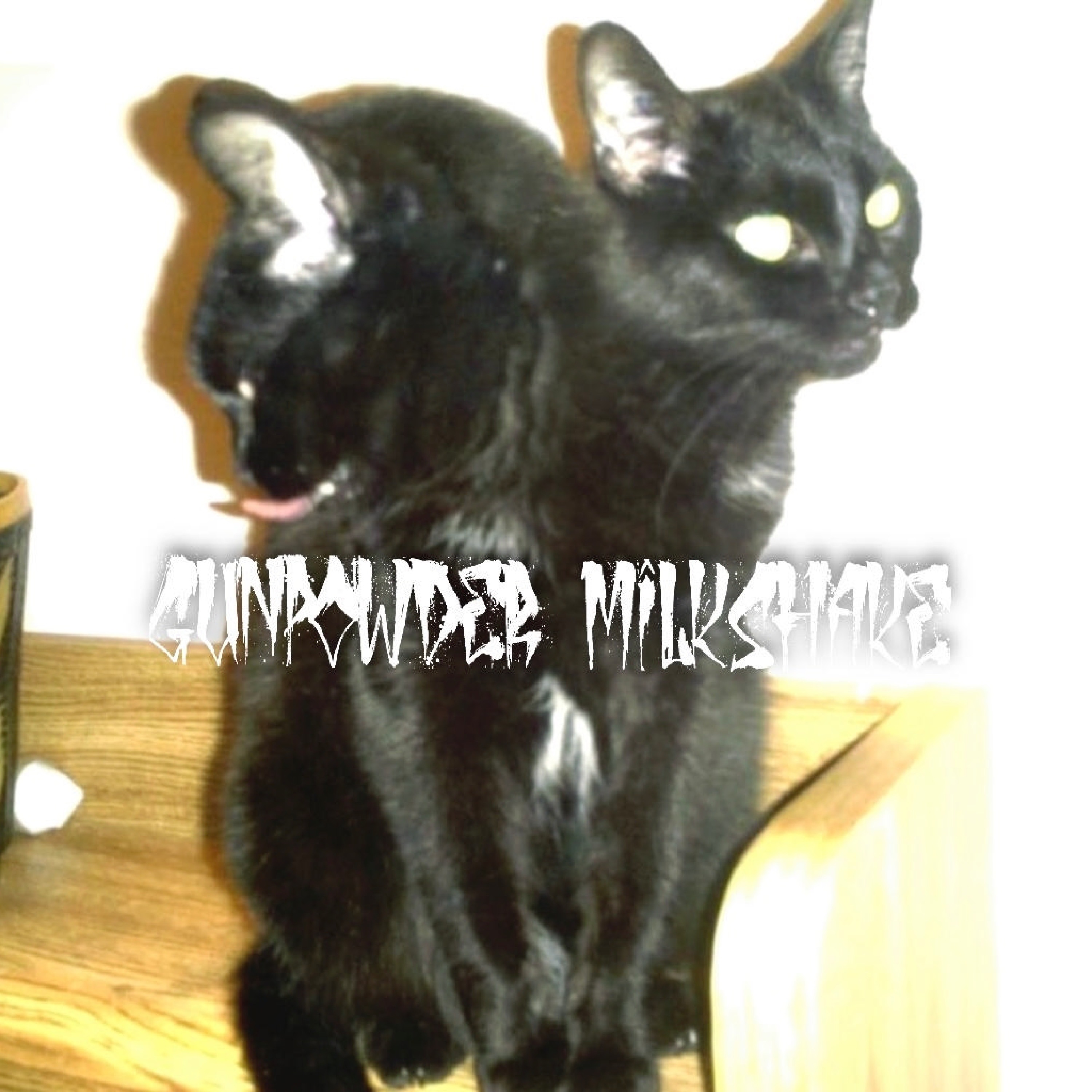 Gunpowder Milkshake - Single