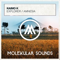 Explorer / Amnesia - EP - Kaimo K