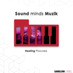 Healing Process - Single