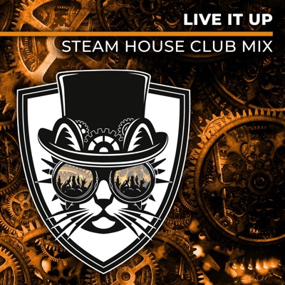 Live It Up (Steam House Club Mix) - Single