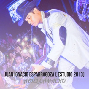 Juan Ignacio Esparragoza (Estudio 2013)