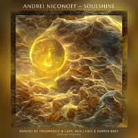 Soulshine - Andrei Niconoff
