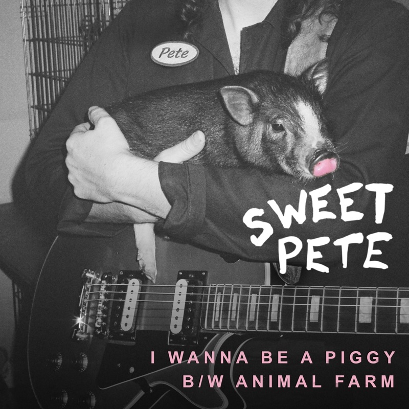 sweet pete's candy net worth