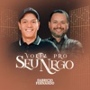 Volta pro Seu Nego - Single