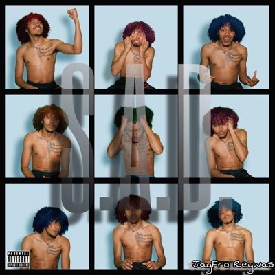 S.A.D. (Silently Always Drowning)