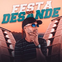 Festa do Desande - Single - Mc Metal