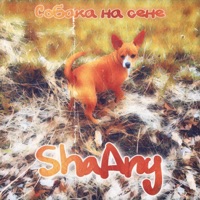 Собака на сене - Single - ShaAny