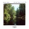 Welcome Back To Your Life - Natan Rabin