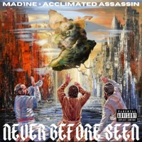 Never Before Seen - Mad1ne & Acclimated Assassin