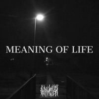 MEANING of LIFE (feat. SENZORITY) - Single - LWVIATHAN