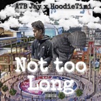 Not Too Long (feat. HoodieTimi)