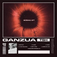 Ganzúa - Sosad.97
