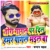 Tora Gagal Par Dil Hamar Pagal Bhail Ba - Single