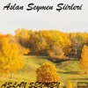 Aslan Seymen Şiirleri - Single